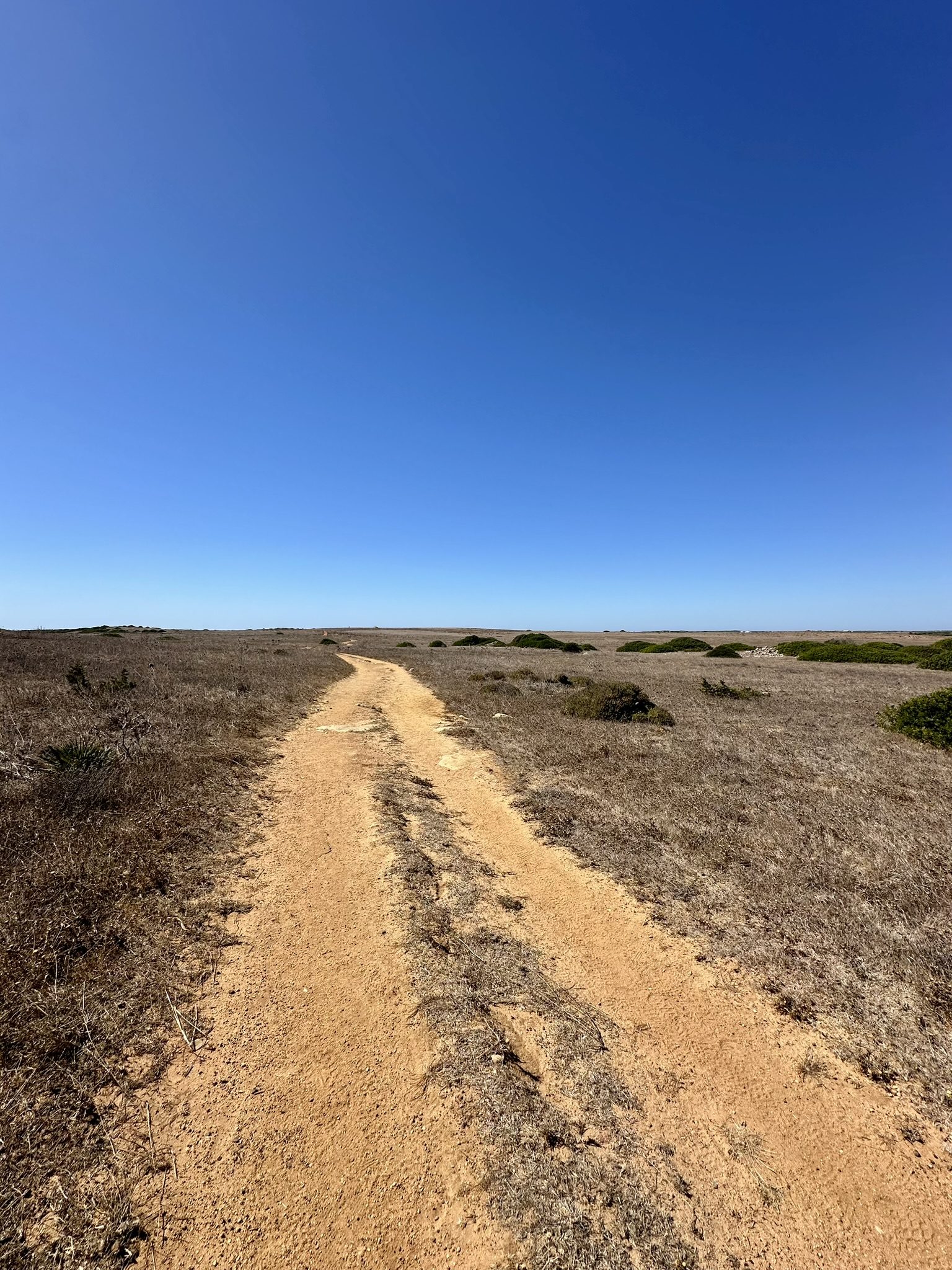 Weiter Sandweg durch trockene Landschaft, Portugal — blauer Himmel
